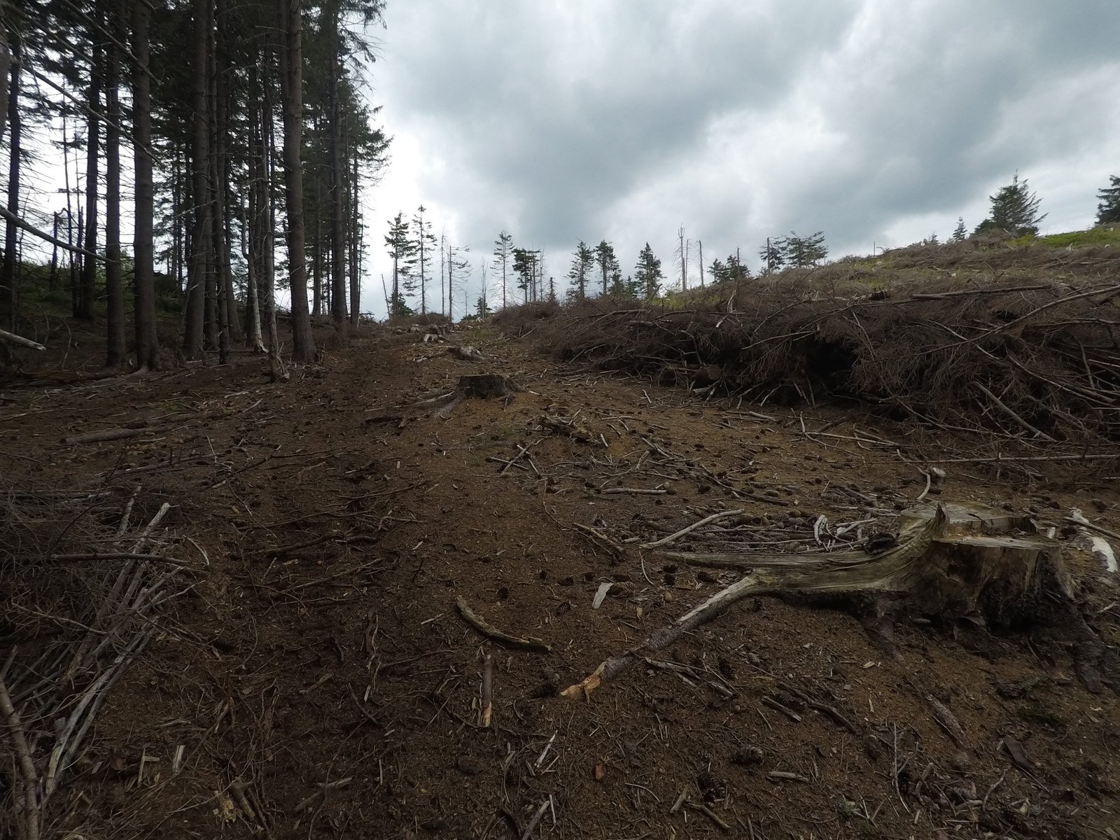 ″Izvoare din Carpați care acum câțiva ani erau pline de apă curgătoare nu se mai zăresc″